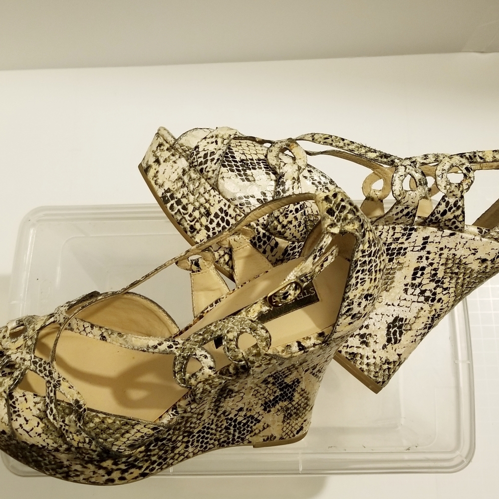 Steve Madden Luxe Multi-color Snake Skin